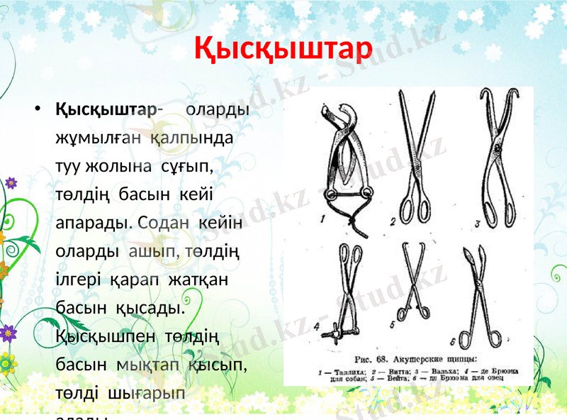 Slide 5