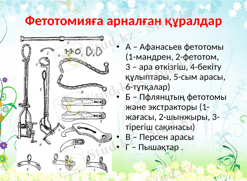 Slide 6