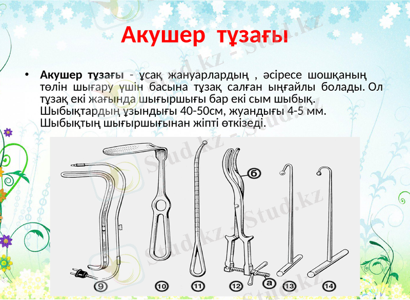 Slide 7