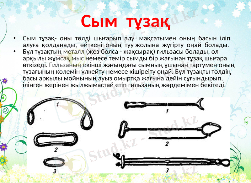 Slide 8