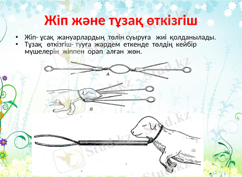 Slide 9