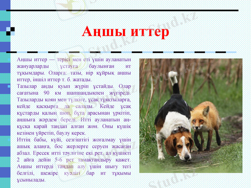 Slide 2