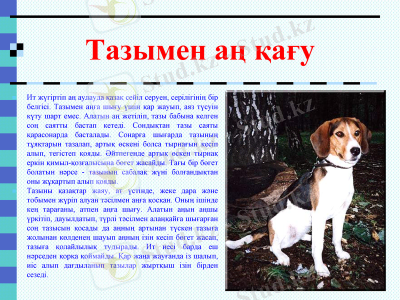 Slide 7