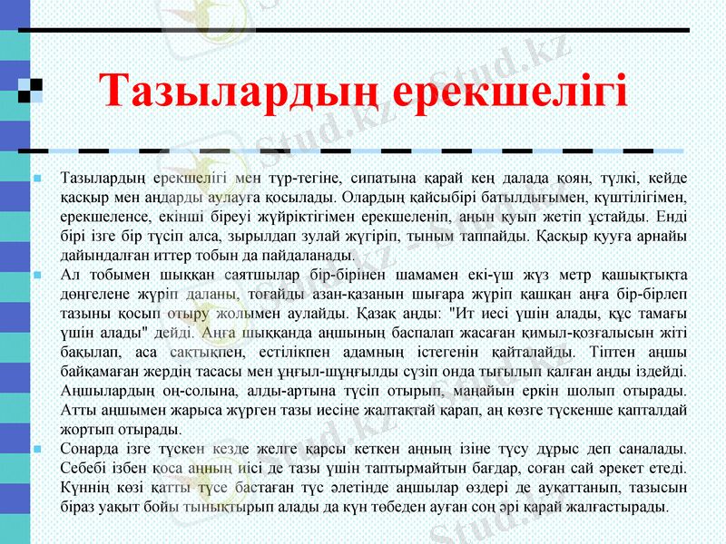 Slide 8