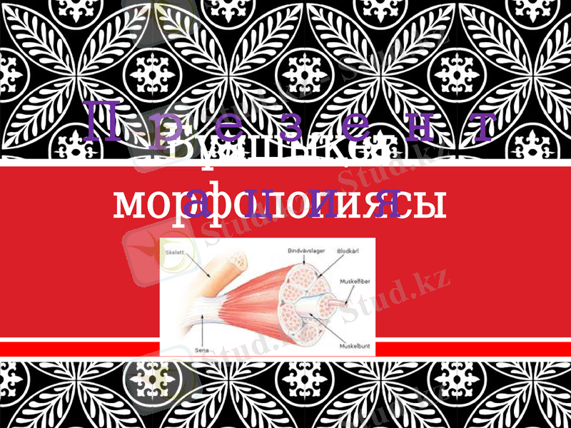Slide 1
