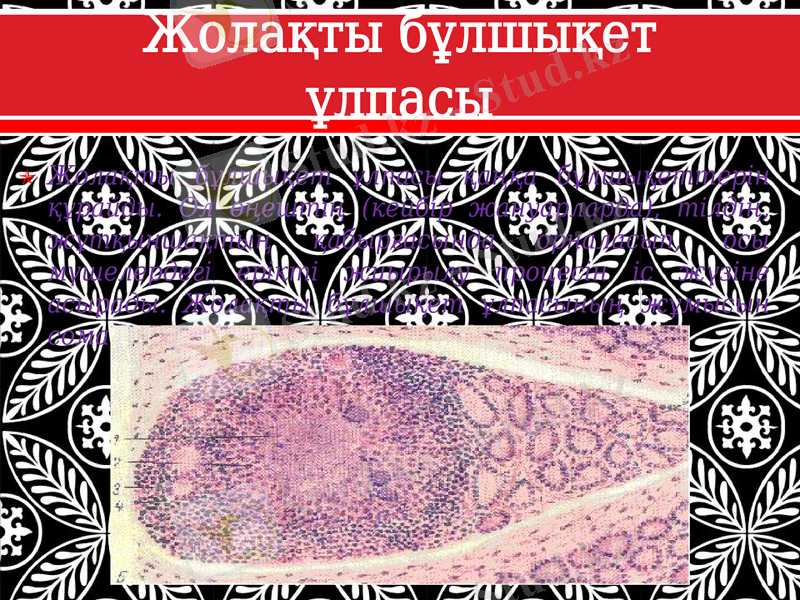 Slide 10