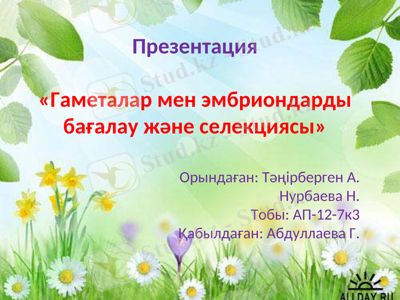 Slide 1