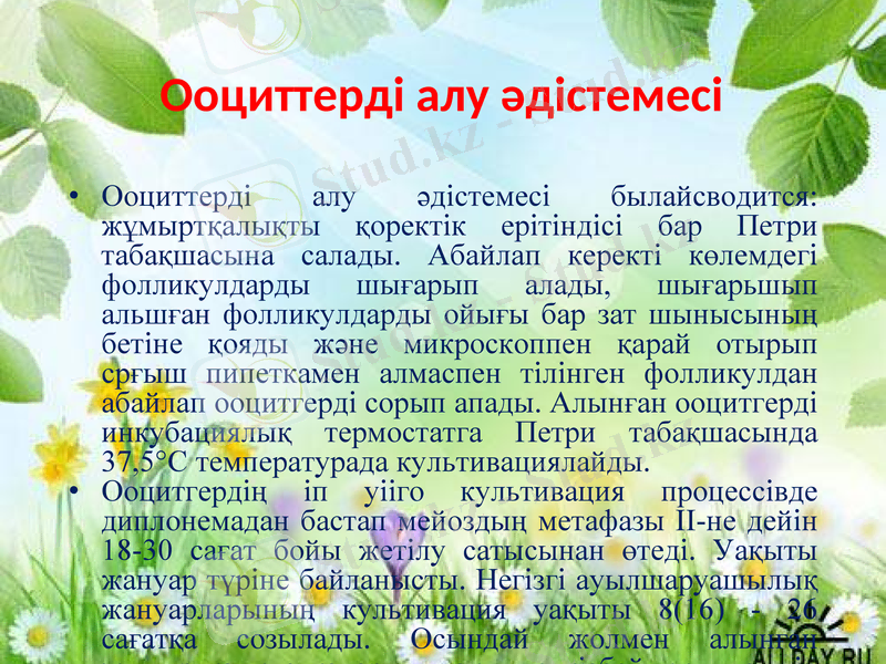 Slide 10