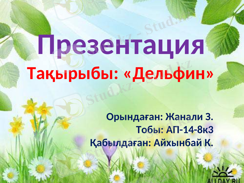 Slide 1