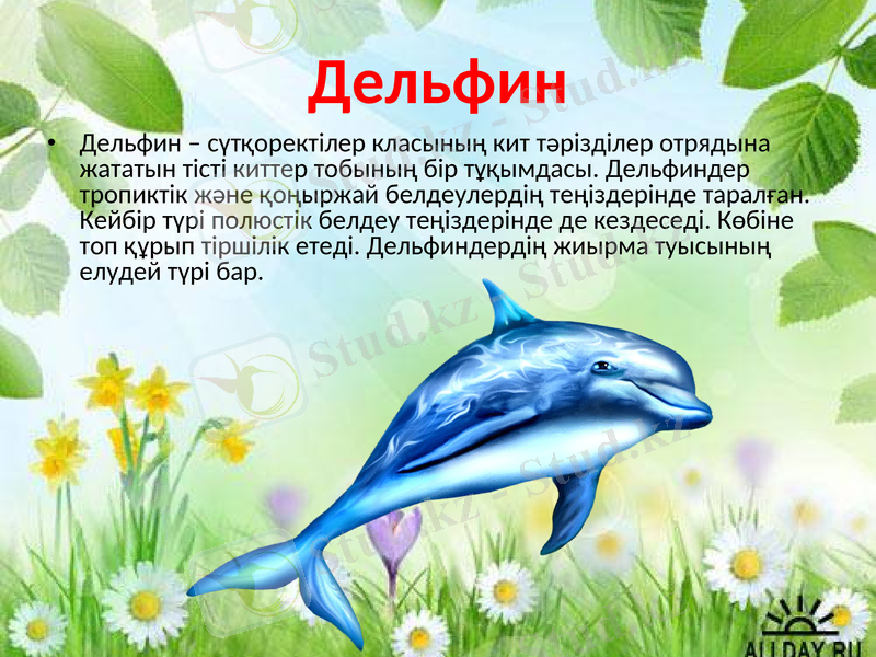 Slide 2