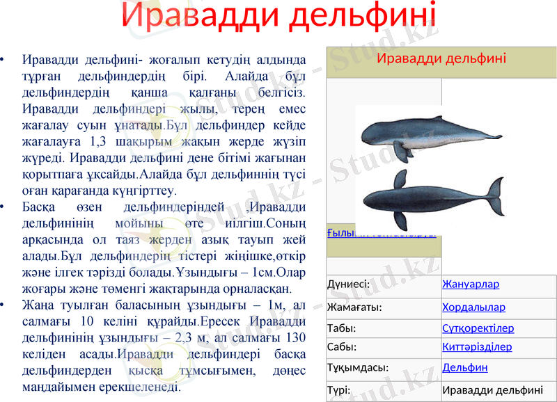 Slide 6