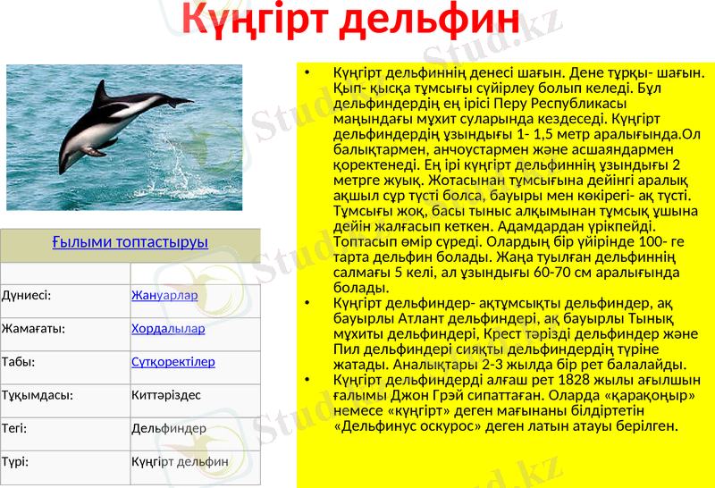 Slide 7