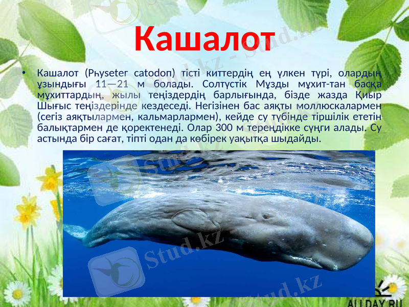 Slide 8