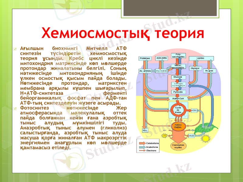 Slide 10