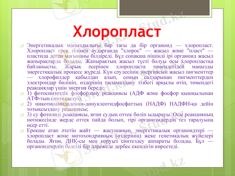 Slide 11