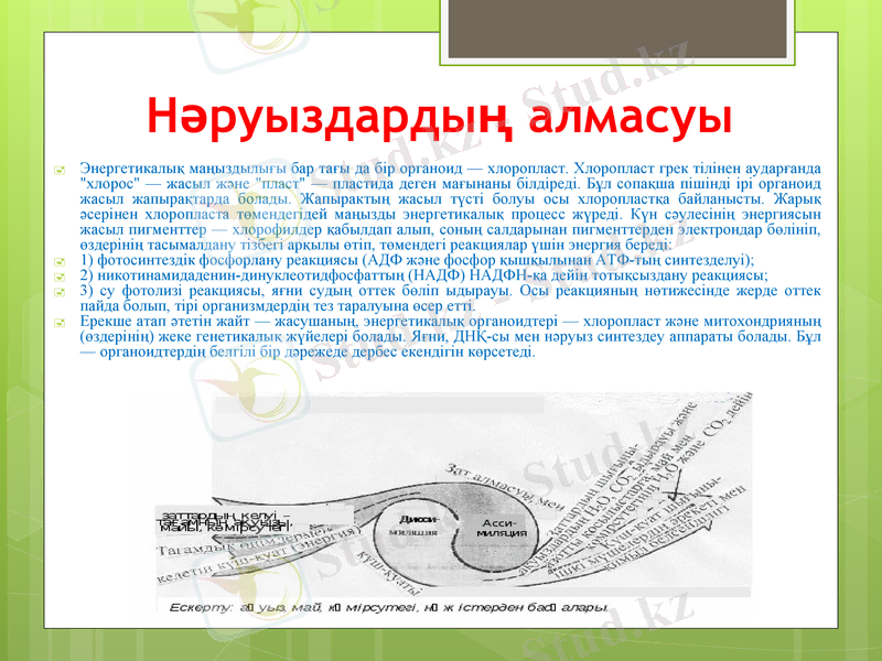 Slide 12