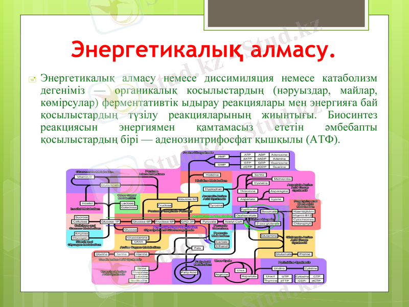 Slide 5