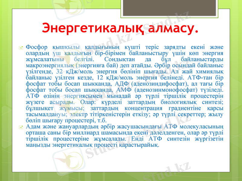 Slide 6