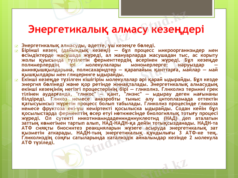Slide 7