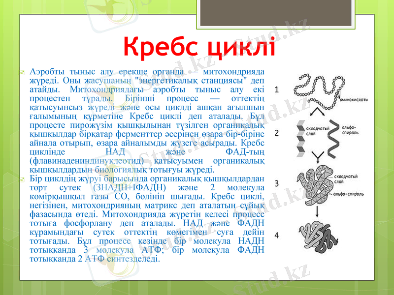 Slide 8
