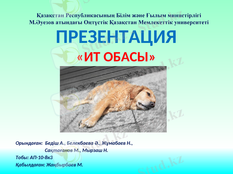 Slide 1