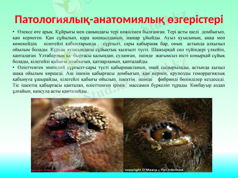 Slide 7