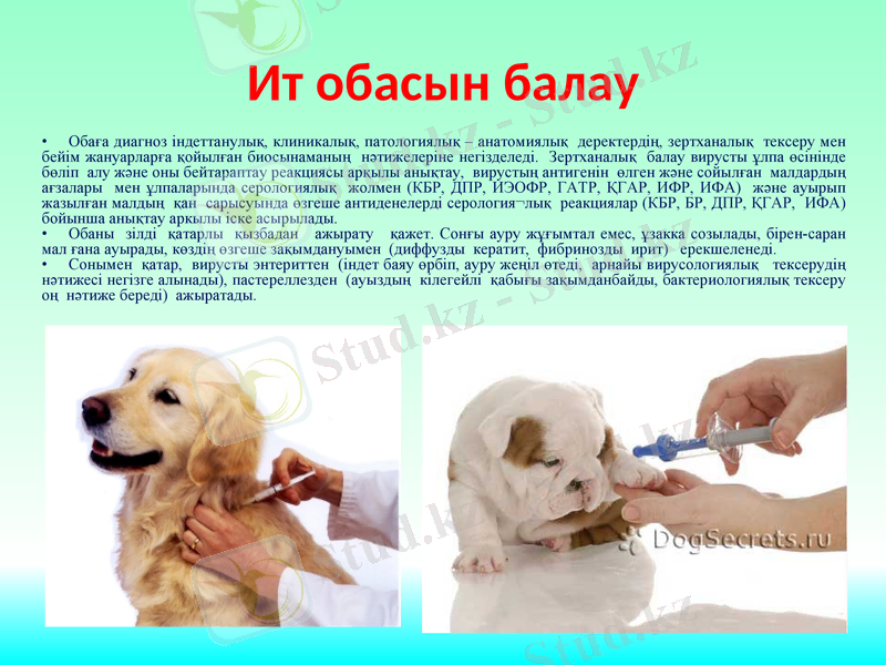 Slide 8