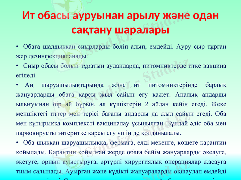 Slide 9