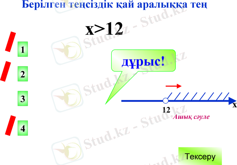 Slide 13