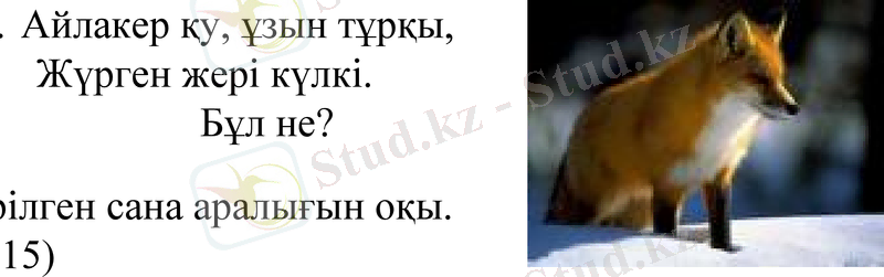 Slide 24