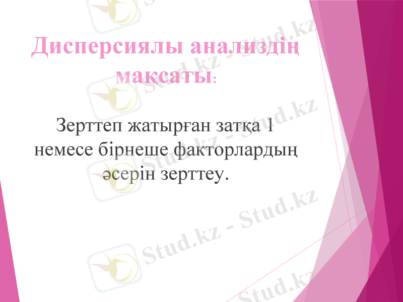 Slide 7