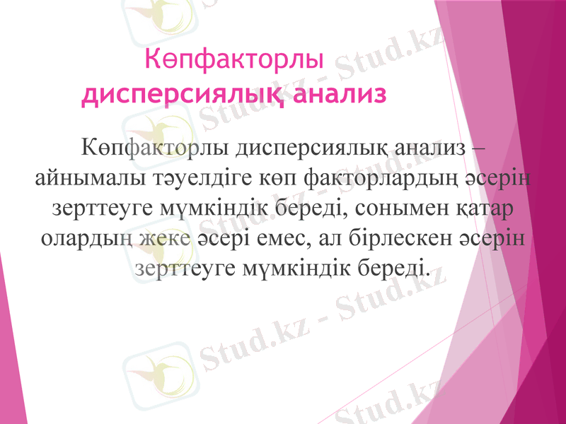 Slide 8
