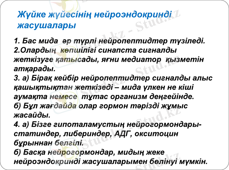 Slide 10