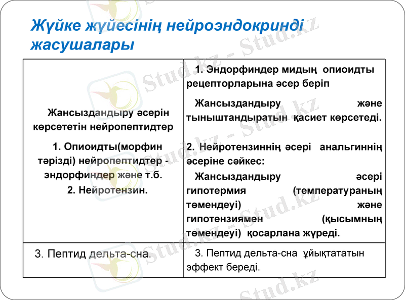 Slide 11