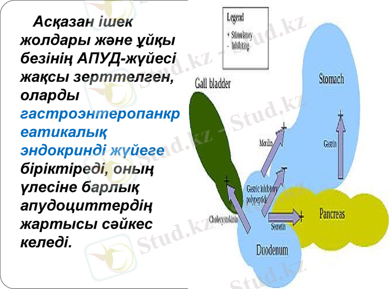 Slide 12