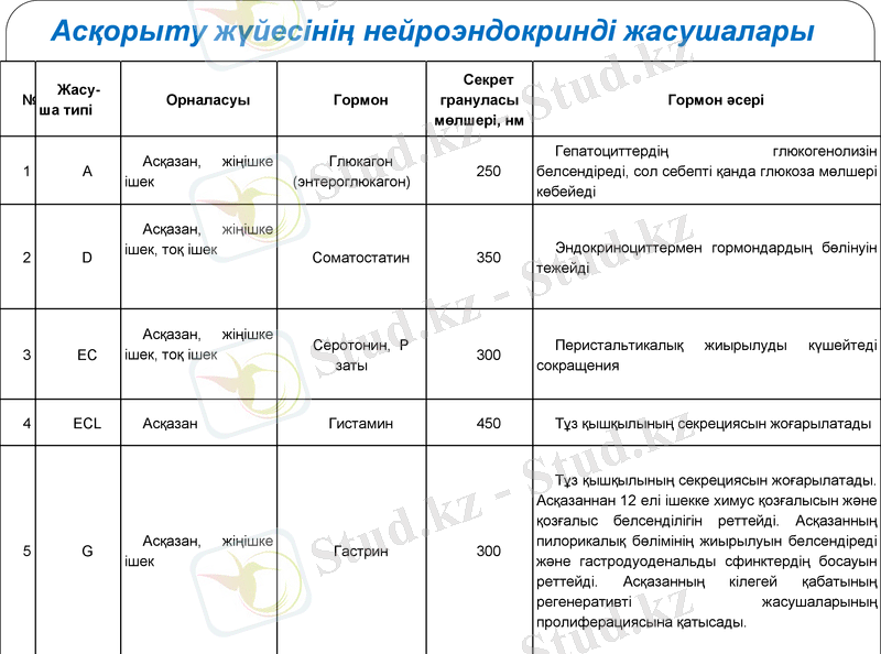 Slide 13