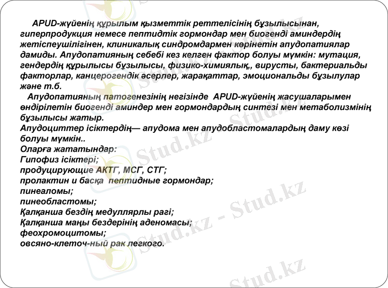 Slide 24