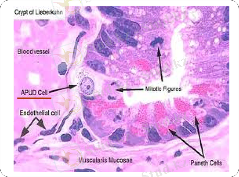 Slide 7