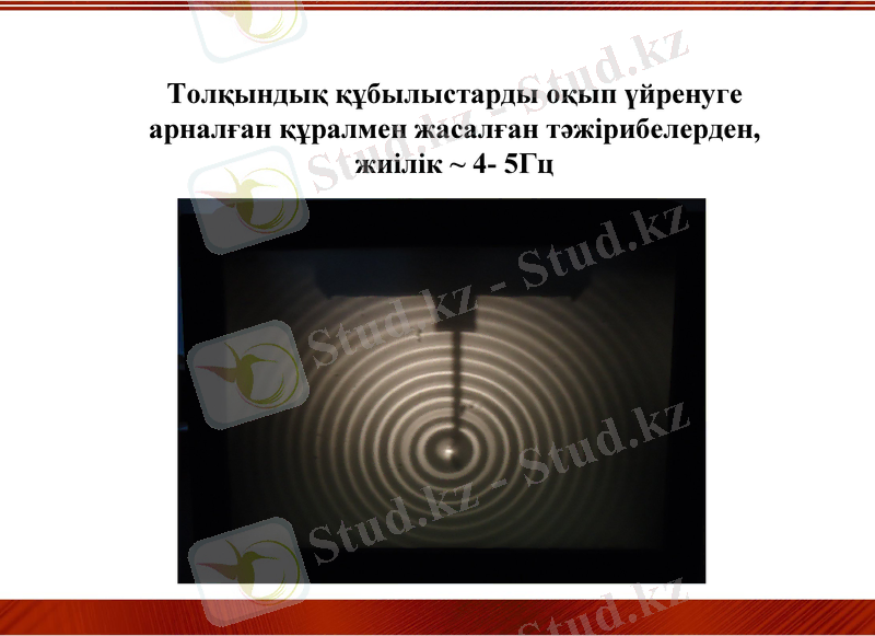 Slide 12