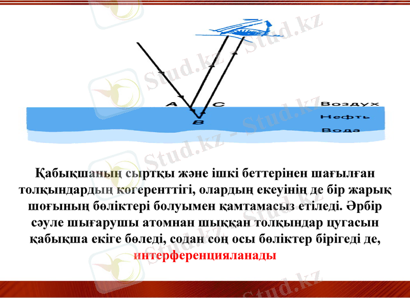 Slide 19
