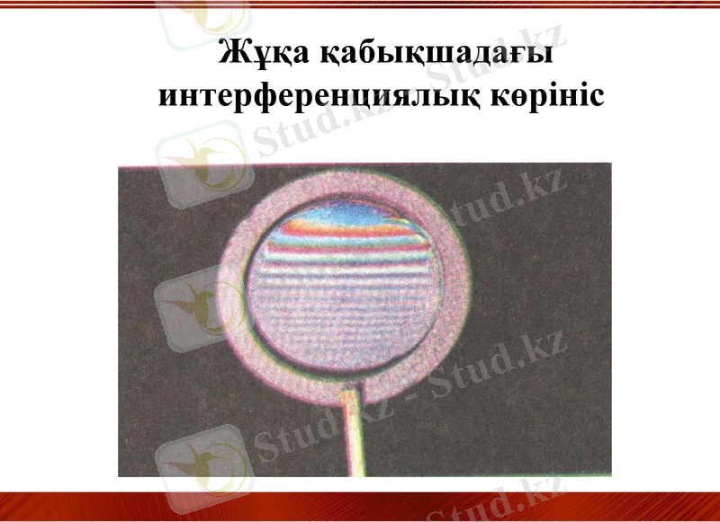 Slide 22