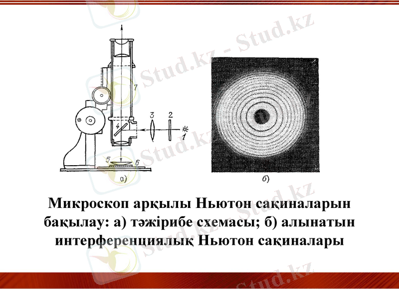 Slide 24