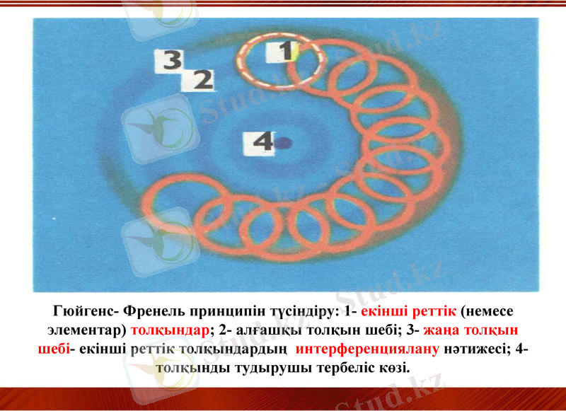 Slide 9