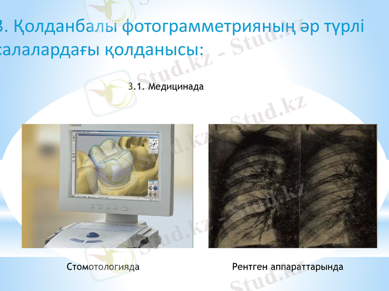 Slide 5