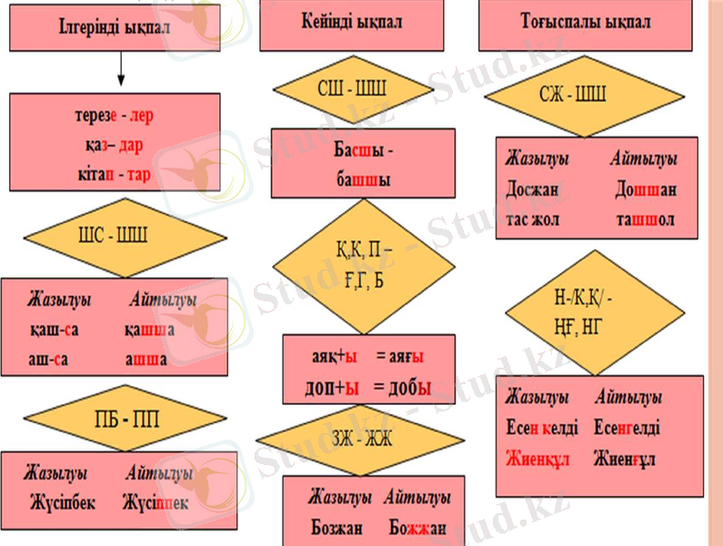 Slide 8