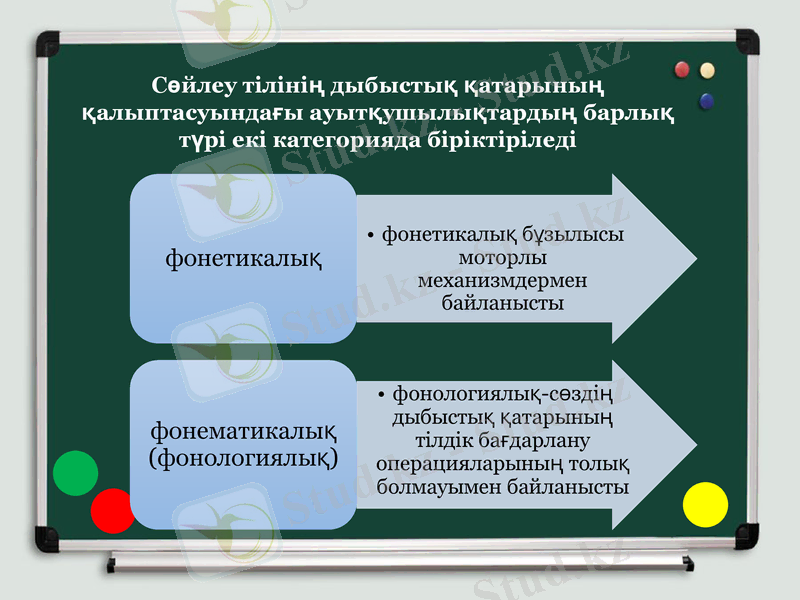 Slide 6