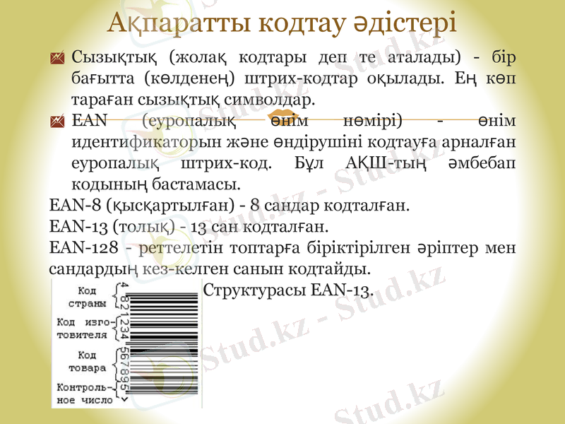 Slide 5