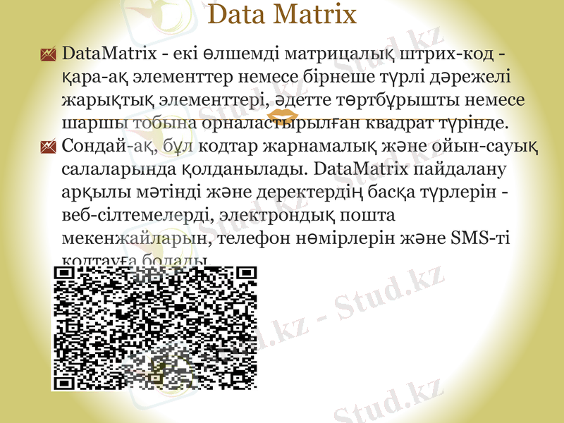 Slide 8