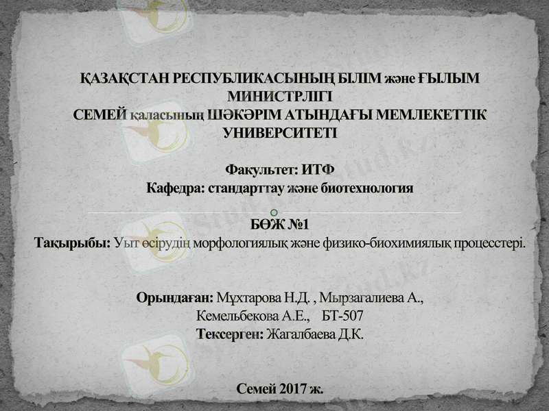 Slide 1