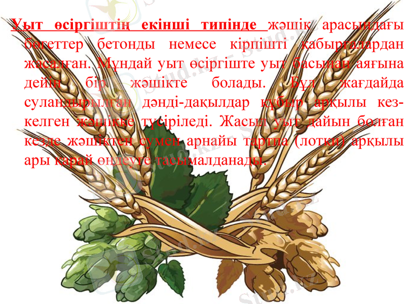 Slide 11